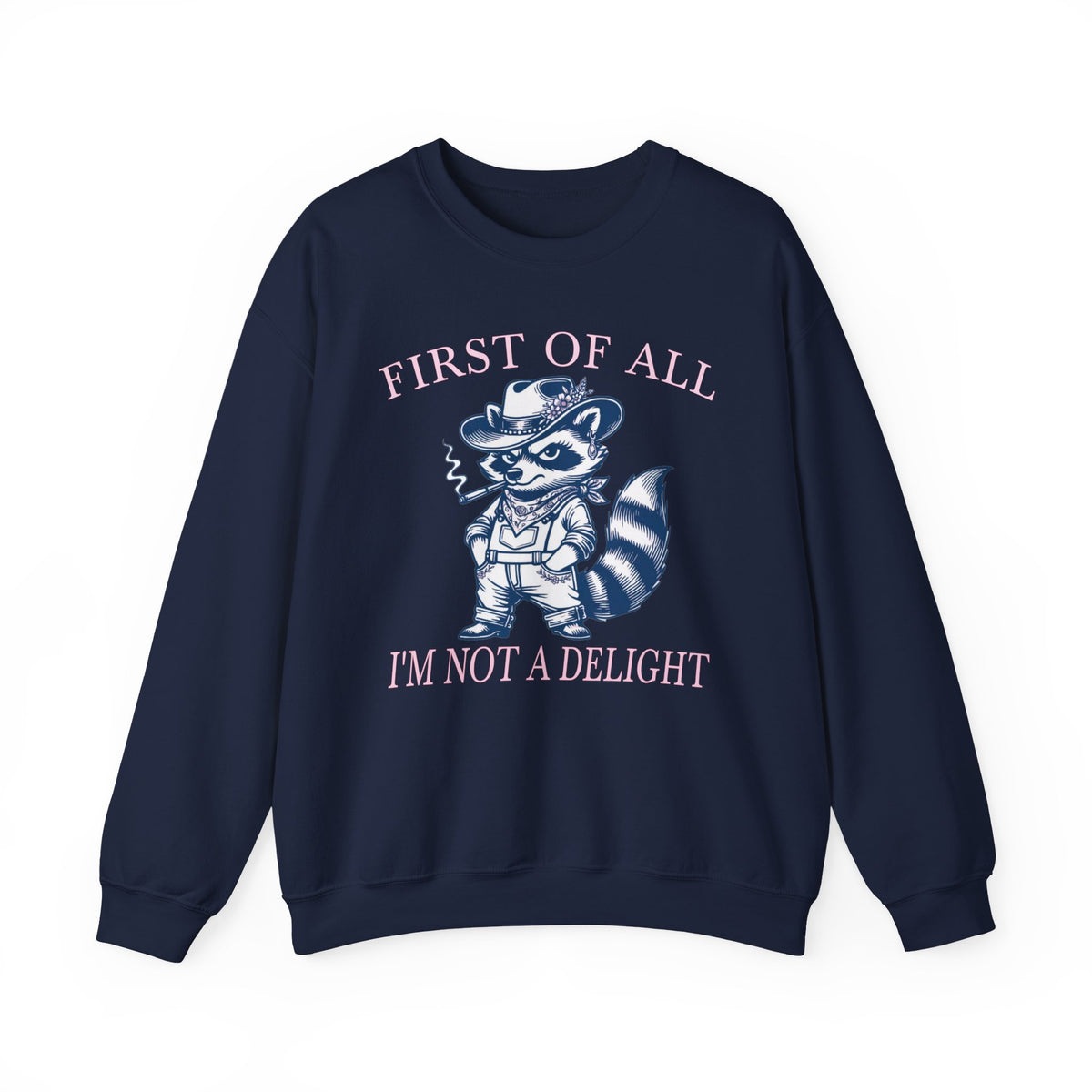 Navy sweatshirt with First of All I'm Not a Delight sarcastic raccoon graphic.