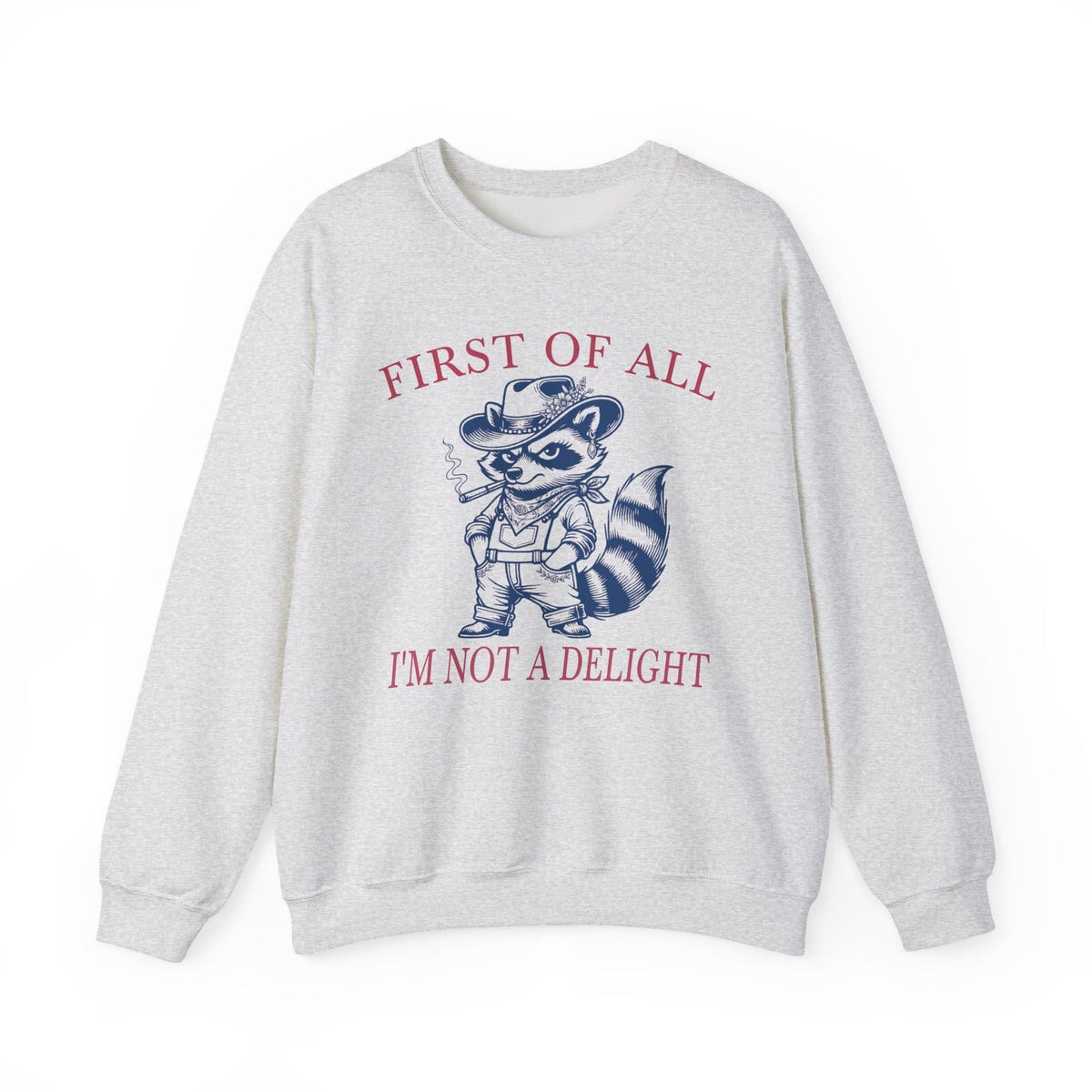 Ash sweatshirt with raccoon graphic and First of All I'm Not a Delight statement.