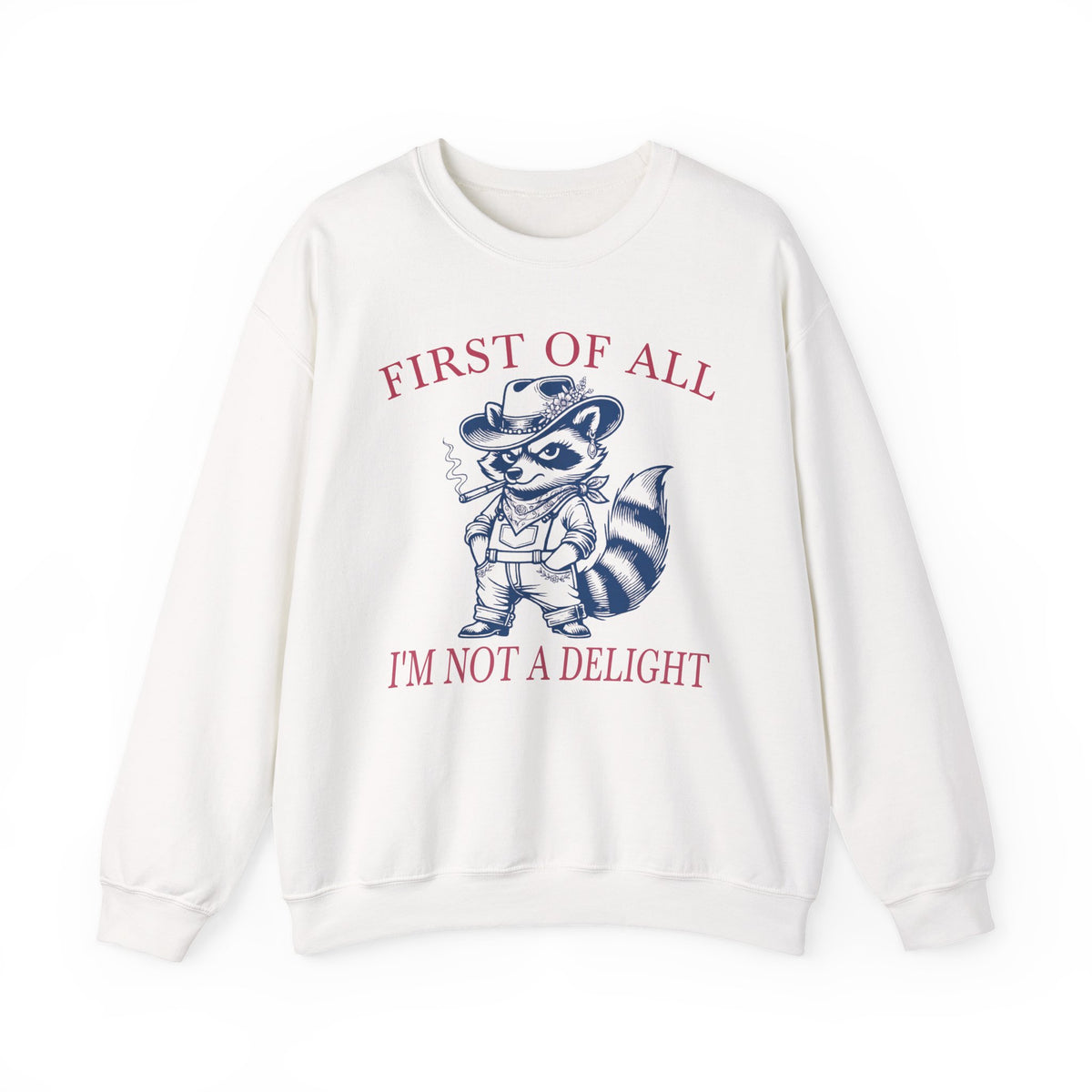 White sweatshirt with sarcastic raccoon and First of All I'm Not a Delight quote.