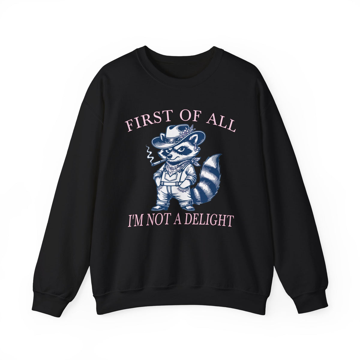 Black sweatshirt with First of All I'm Not a Delight funny raccoon graphic.